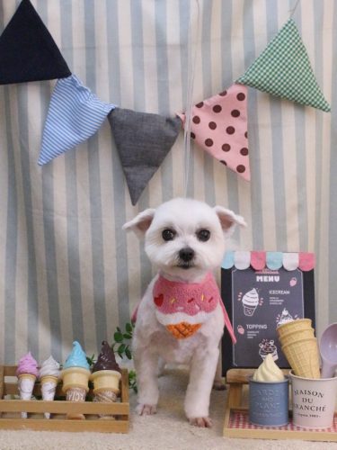 20250528うららちゃん